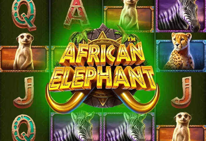 Thrilling Vegazone Casino Slots & Live Casino Games environment.