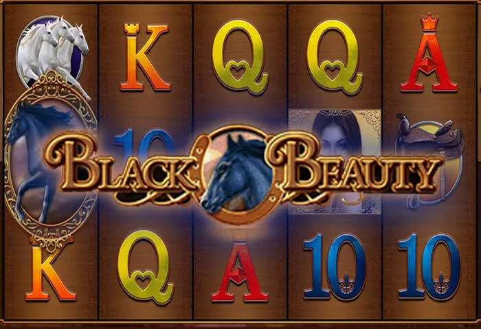Présentation Vegazone Casino bonus sans dépôt et options de paiement.